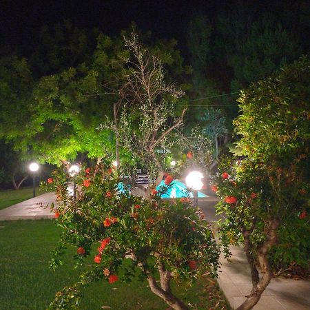 توري سودا Verdeblu المظهر الخارجي الصورة
